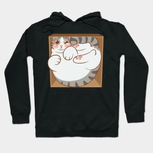 Tabby cat in the box Hoodie